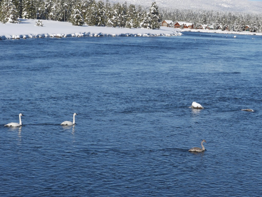 Alta, Utah Big Sky, Montana Jackson Hole, Wyoming 2020