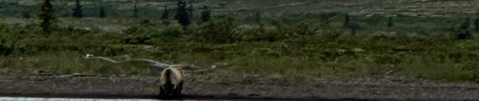 Kukaklek Lake Outfall